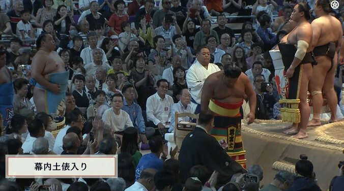 日本人なら一目瞭然の色柄