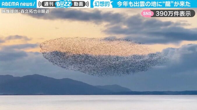 島根県の宍道湖