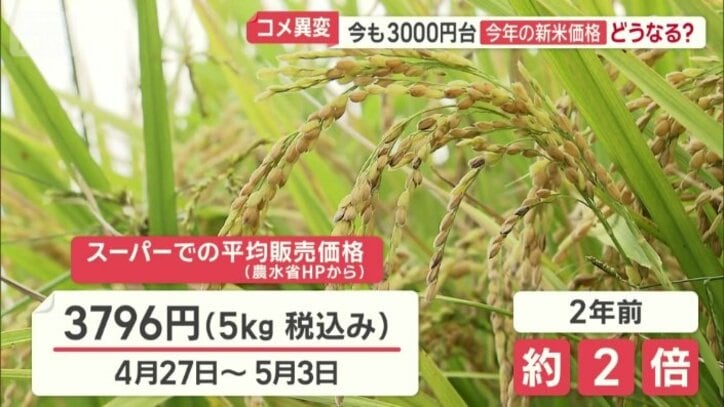 スーパーでのコメ平均価格は3796円（5kg 税込み）
