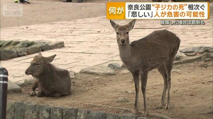 人が危害を加えた可能性