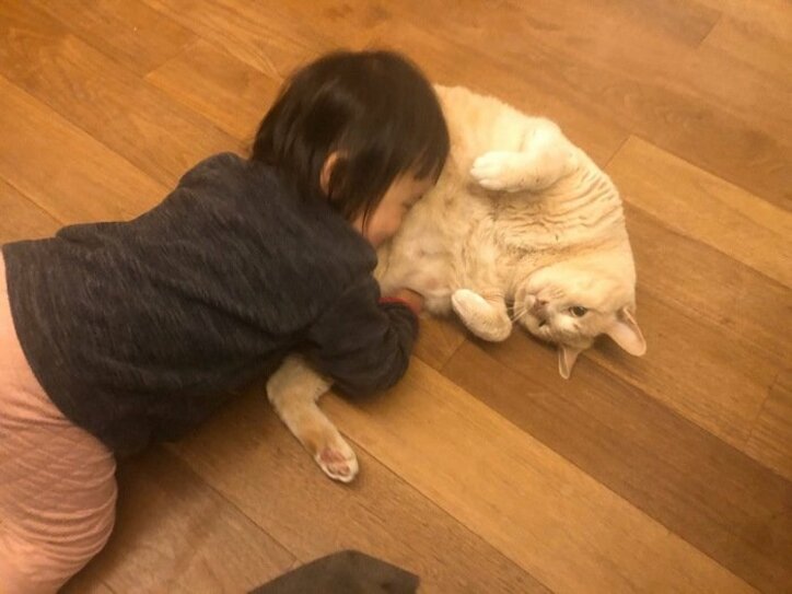 大渕愛子弁護士、すっかり打ち解けた娘と愛猫の姿「可愛がり方は、ちょっと強引ですが」