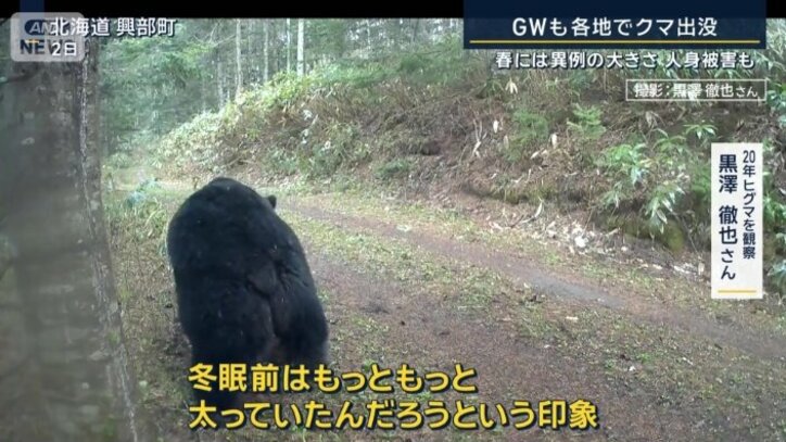 20年ヒグマを観察　黒澤徹也さん