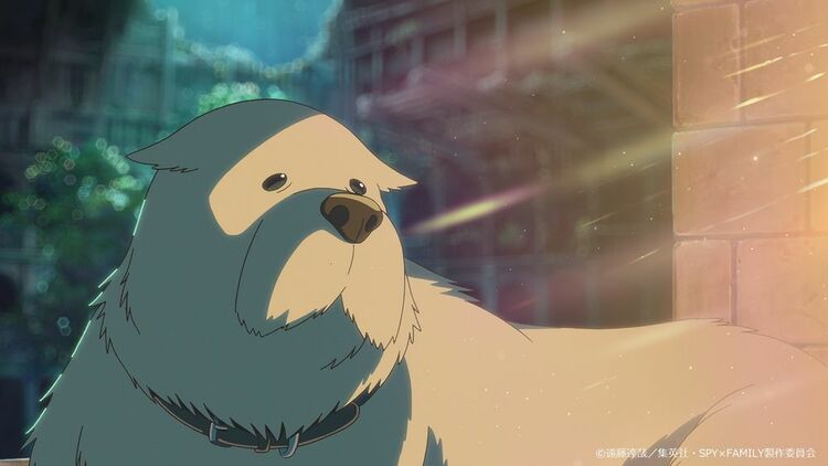 写真・画像】アニメ「スパイファミリー」ボンドはどんな犬？犬種や能力