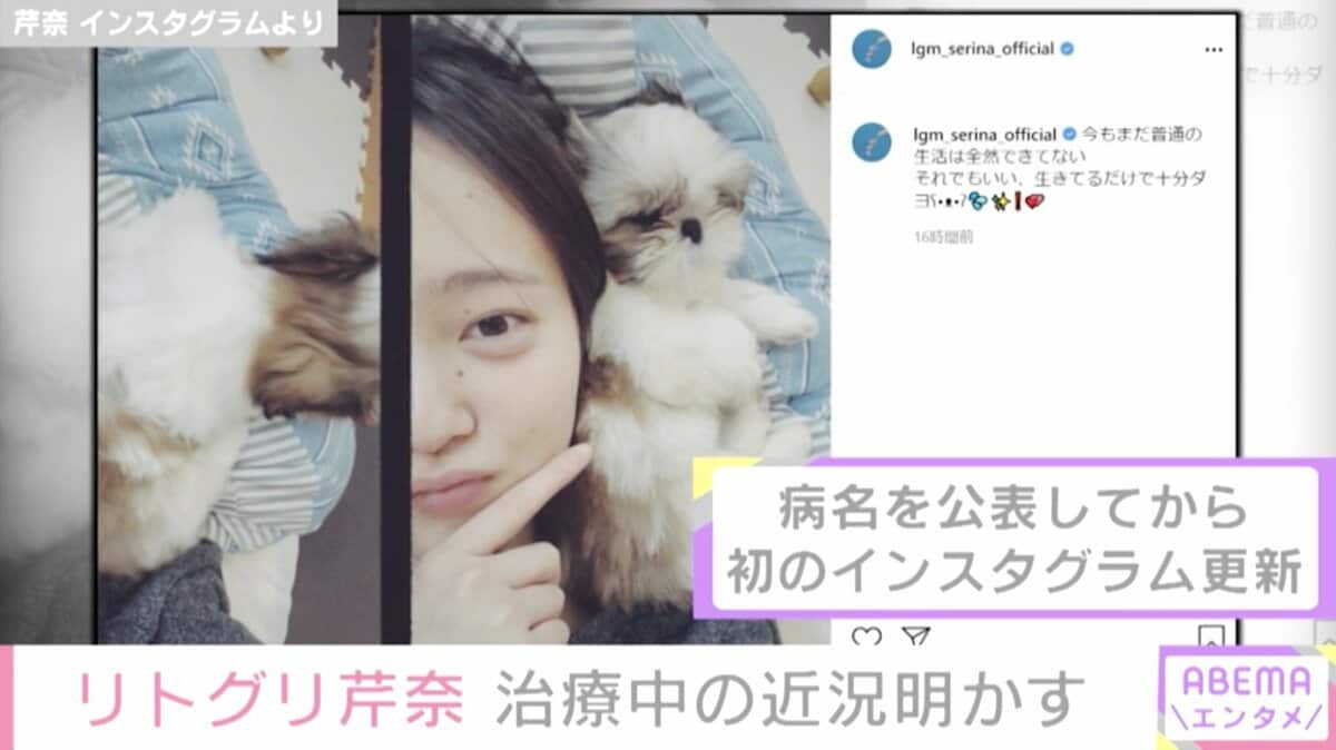 とこちゃん⚠️リトグラフ：テッド・タナベ2点おまとめ　確認事項⚠️ 楽天市場】トコちゃんベルト2（LLサイズ）安産祈願4点 (ふわぴた