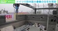 ドイツで欧州最大“3Dプリント住宅”が誕生「5人がかりが2人に」 労働力削減も…問われる建築物の著作権