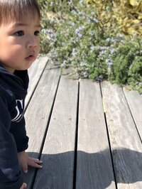 長州力『孫がやってきました』