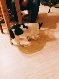 松居直美『あの頃の自分に。』