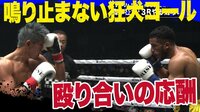 【バチバチの打撃】鳴りやまない狂犬コール