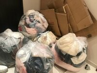 桃『大切なあれこれもさようなら』