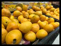 凛『ブログ更新せずに連日寝落ち』