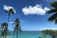 市川海老蔵『やはり元気になりそう』