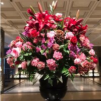 小柳ルミ子『明日4/25はデビュー記念日✨✨✨』