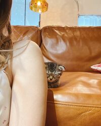 Dream Ami、愛猫ペンキのくつろぎショット公開し「可愛すぎます」「癒されてます」の声