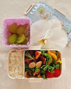  神田うの、娘の新学期が始まり毎日の弁当作りが再開「激早起き生活がやってきた」 