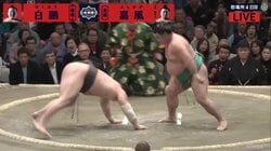 白鵬、まさかの連敗！嘉風にも金星提供　「きれいな立合い」に苦戦か
