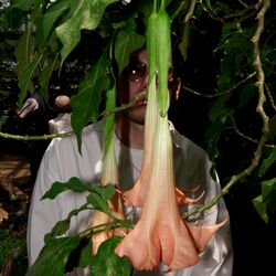 OGGYWESTのLEXUZ YEN、ソロ名義での初作となる真夏のロストラブソング、没 a.k.a NGS(Dos Monos)を招いた「Heartbreaker」をリリース。