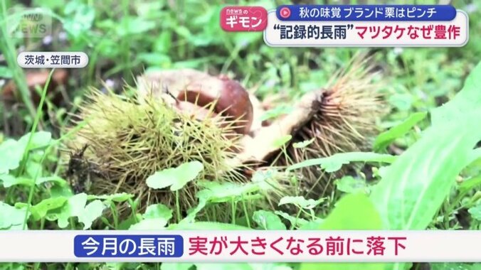 9月の長雨の影響