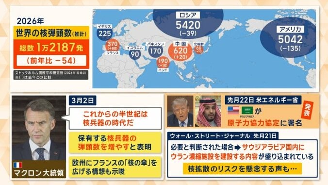 世界の核弾頭数の推計