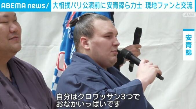 安青錦