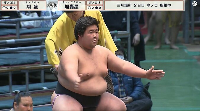 「なんだこのカワイイ生き物」18歳新人力士、“癒し全開”キャラに引き込まれるファン続出「可愛過ぎやしませんか？」 4枚目