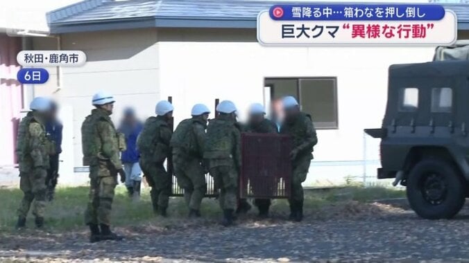 自衛隊の隊員が6人がかりで運ぶ箱わな