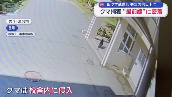 クマは校舎の中にも侵入