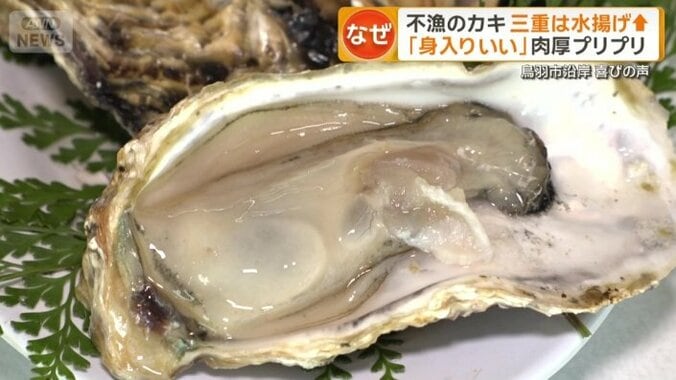 三重・鳥羽市の名産「浦村かき」