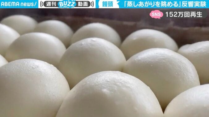 「スリスリしたい」ふっくらモチモチ“蒸しあがった饅頭を眺めるだけ”の実験動画が話題「刺さりすぎてる」 1枚目