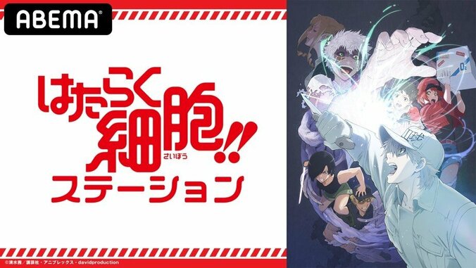 花澤香菜＆前野智昭が出演！劇場版『はたらく細胞』特別番組決定 アニメ1期も全話一挙配信 2枚目