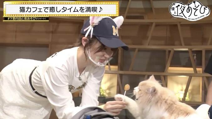 猫カフェでデレデレの下野紘＆内田真礼が猫とお友達になれるかバトル勃発!?『声優と夜あそび』 3枚目