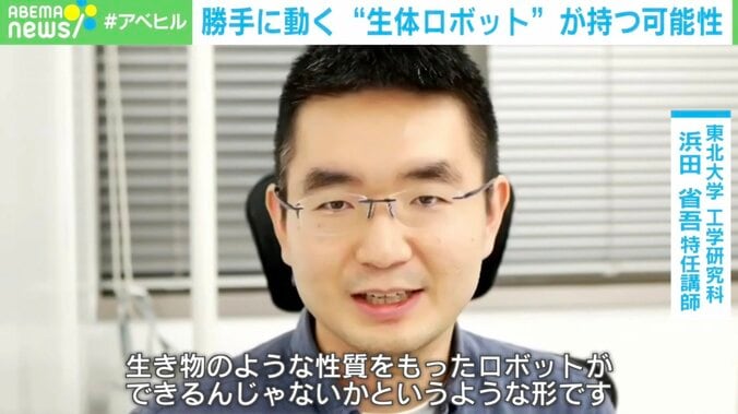 複製して子孫残す！ カエルの細胞から生まれた “生体ロボット”  3枚目