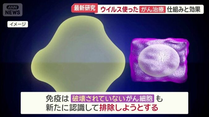 ウイルス療法2つ目の効果