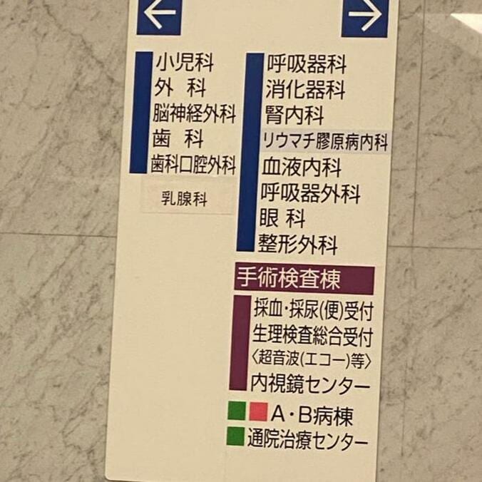  かとうかず子、病院で1日過ごして受けた検査「麻酔して怪しいところに針を刺し」  1枚目