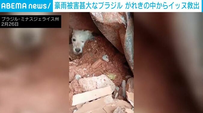 がれきに埋まった犬