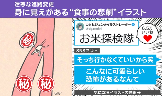 お米探検隊