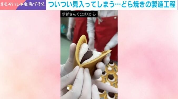 「どらきんぐ生」