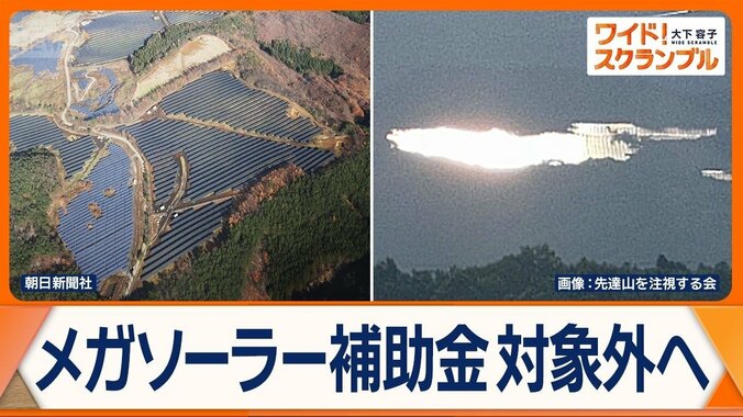 メガソーラー開発、各地で問題　景観・安全面の苦情も　推進一転…政府は支援見直しへ 1枚目