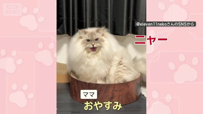 ママの声にお返事