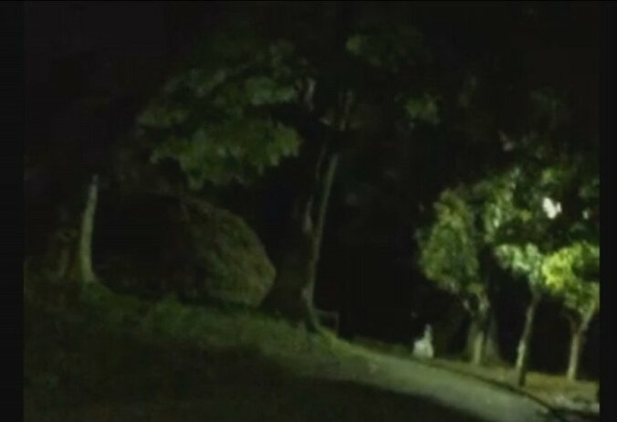 『ポケモンGO』ゲーム実況のはずがカメラに奇妙なモノが映りリアルホラー実況に…… 3枚目