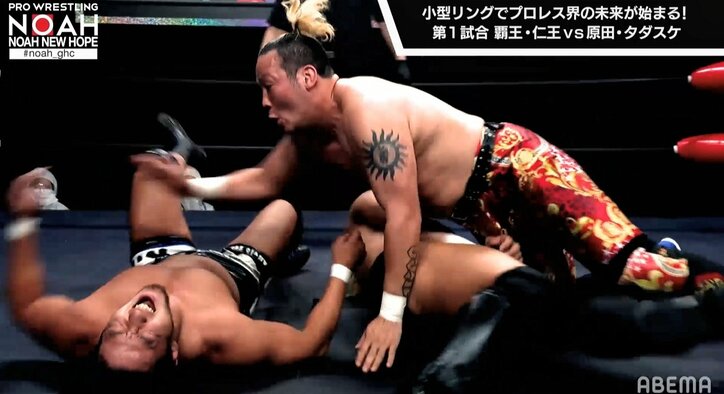 ファンがざわついた失敗→見事なリベンジ 仁王の華麗なライオンサルトに「今回は完璧」