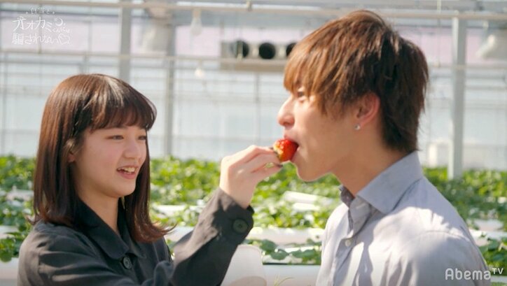 2人で摘んだイチゴを一緒に…飯豊まりえ、これ以上ない“間接キス”に悶絶「ヤバイヤバイ!!」『白雪とオオカミくん』第10話