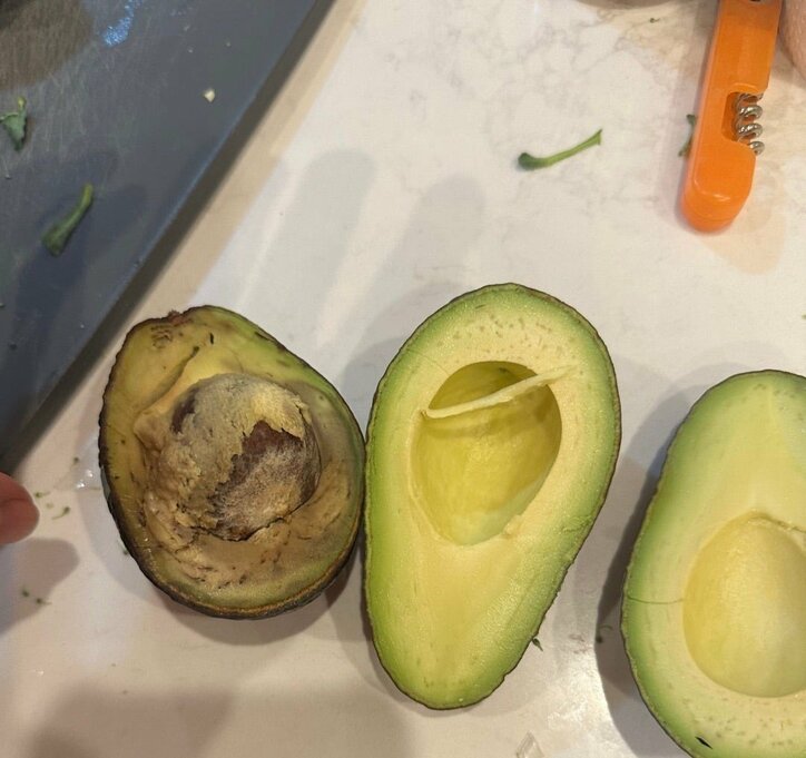 1個300〜400円したアボカド