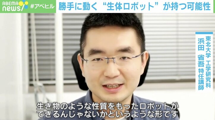 複製して子孫残す！ カエルの細胞から生まれた “生体ロボット” 