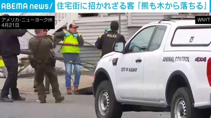 クマを捕獲した人ら