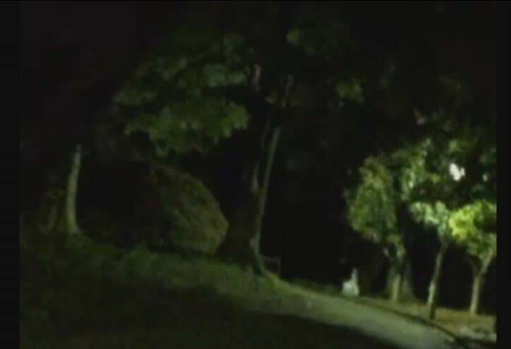 『ポケモンGO』ゲーム実況のはずがカメラに奇妙なモノが映りリアルホラー実況に……