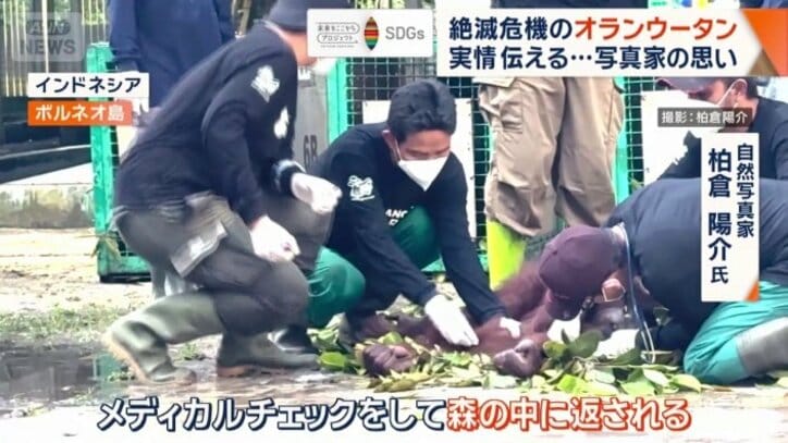 メディカルチェック