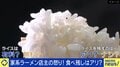 飲食店での食べ残し、なぜ持ち帰れない?日本は食中毒を恐れ過ぎてる?バビンコイ氏「アメリカでは客が店を訴えるとしたら、店が逆に客を訴える。自己責任だ」
