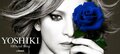 YOSHIKIがアメブロ開始「少しでもみんなの為に」英会話レッスンをスタート