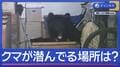 映像分析 クマ潜む“好きな場所”ってどこ?