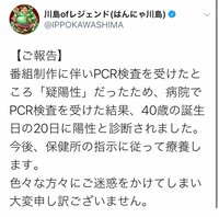 川島菜月『ご報告です』